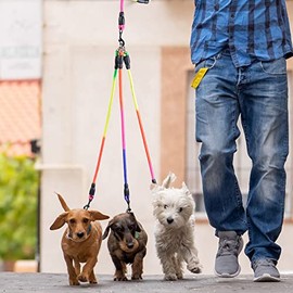 Correa de Perro de 3 vías, Correa de Perro de 57 Pulgadas Desmontable, giratoria de 360 Grados, sin enredos, con Mango Acolchado Suave para Perros pequeños/medianos PT048