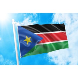 DMSE South Sudan Sudanese Flag 2X3 Ft Foot 100% Polyester 100D Flag UV Resistant (2'X3' Ft Foot)