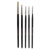 Anna Mason Synthetic Watercolour Brush Set of 5
