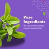 NuNaturals Stevia Simple Syrup, Sugar-Free Sweetener, Plant-Based Sugar Substitute, Zero