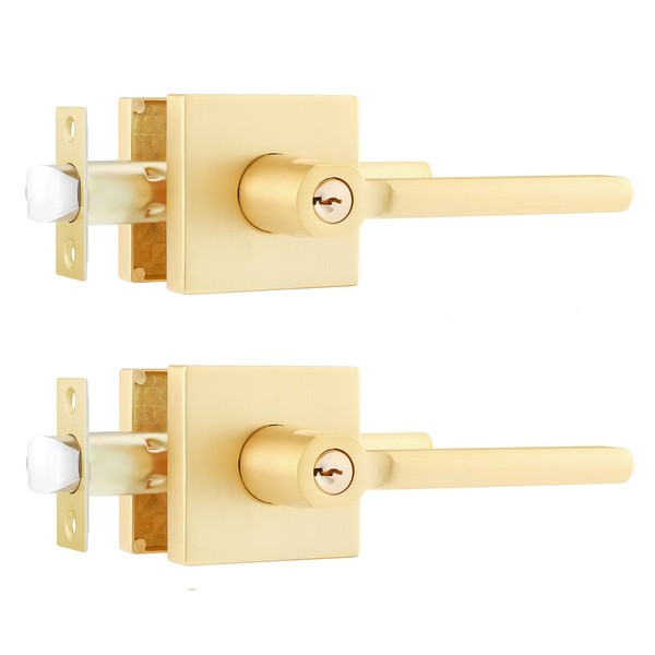 Leydebong 2 Pack Heavy Duty Complete Exterior Keyed Entrance Handleset(Keyed