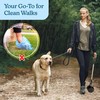 Pet Pooper Scooper - Plastic and Aluminum Cat and Dog
