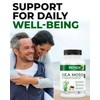 Renew Actives Sea Moss Capsules - Premium Triple-Action Antioxidant Blend