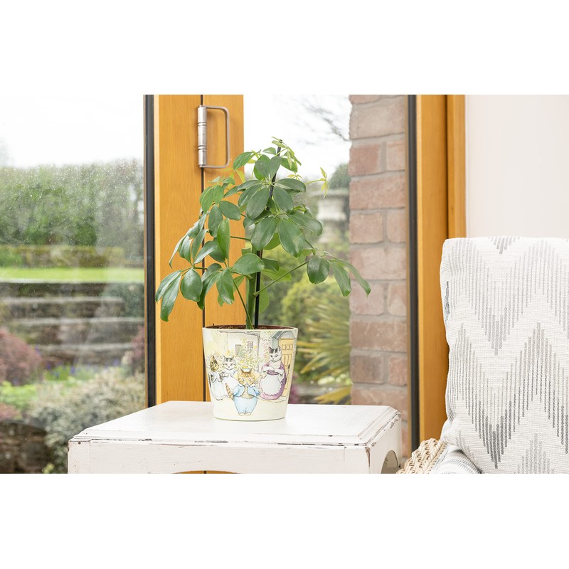 Beatrix Potter Peter Rabbit Eco Pots Set 2 - Beatrix