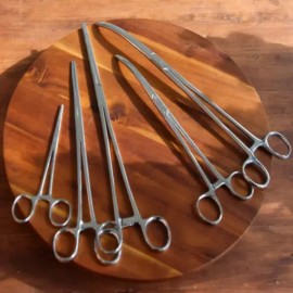 겸자가위 30CM 집게가위 원예공구 원예용집게 [커브형 30cm] 30CM Garden Pliers Tongs Gardening Tool [Curved 30cm]