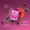 Pukka Herbal Organic Morning Berry, 80 Total Tea Bags (20ct