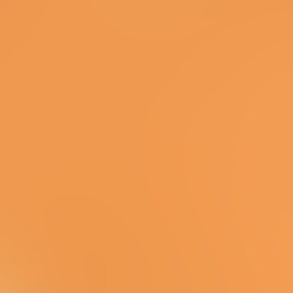 Bazzill Basics Paper 3-359 Card Shoppe Heavy Weight Cardstock, 25 Sheets, 8.5 by 11-Inch, Citrus Slice