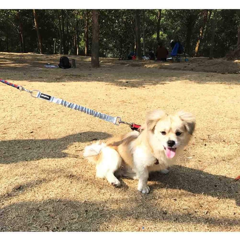 Yangbaga Dogs Shock Absorber, Elastic Buffer Extension leash with Bungee