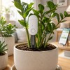 Zigbee 3.0 Soil Moisture Sensor for Smart Plant Care –