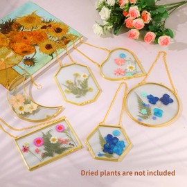 XMASBST 6 Pcs Pressed Flower Glass Picture Frames Wall Hanging Double Glass Frames Brass Floating Photo Frame Gold Hexagonal Octagonal Frames Clear with Chain for Gallery Artwork Dried Flowers Display
