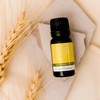 ECO. Modern Essentials Chamomile 3% (German) Essential Oil, 10ml