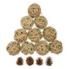 10 Pcs Small Animals Play Balls Rolling Activity Chew Toys
