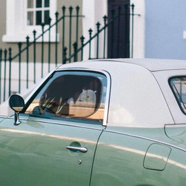 Mr. & Mrs. Panda Car Sun Shade Otter Stein Gift Sun Protection Film Sea Otter Car Sun Shade Sun Visor Car Sun Car Otter