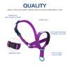 Pawaboo Dog Muzzle, Head Halter Collar for Dog, Pet Dog