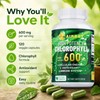 Chlorophyll Capsules for Adults – 600mg Daily Green Supplement for