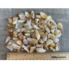 GAF TREASURES Wholesale Rough Citrine 0.5-1.25", Natural Small Citrine Point/Stone,