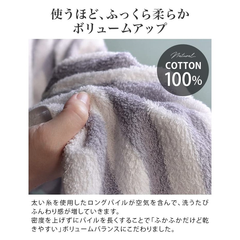 Hiorie Hotel Style Hand Towels, Made in Japan, Set of
