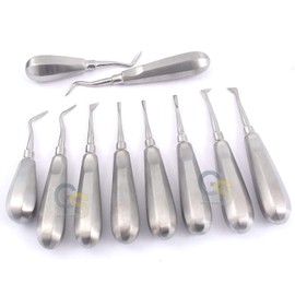 G.S Set of 10 New O.R Grade Dental Elevators Extraction Instruments Best Quality