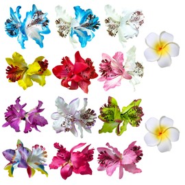 14 Pcs Orchid Plumeria Hair Clips Chiffon Flower Barrettes Multicolor Floral Women Bridal Headpiece Bohemian Hawaiian Luau Tropical Wedding Beach Party Decorations Cute Hairclip Hair Pins Accessories