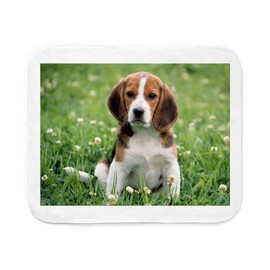 CafePress Beagle Sherpa Fleece Throw Blanket 60" L x 50" W