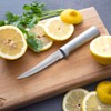 Rada Cutlery Super Parer Knife (R127), 4.38" Stainless Steel Hollow