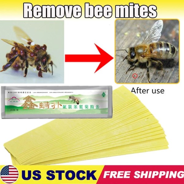 Unbranded 20Pcs Bee Mites Strip Medicine Pest Control Durable Tool