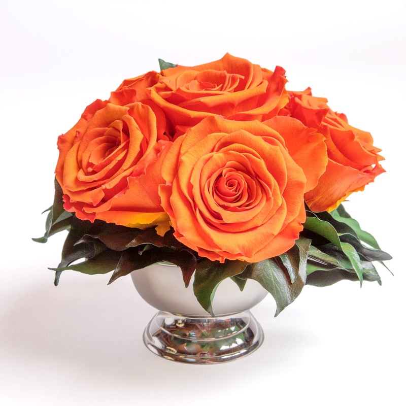 ROSEMARIE SCHULZ Heidelberg Infinity Roses in Silver Flower Bowl -