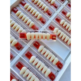 Accu-tone Acrylic Resin False Teeth Accu-tone Anterior lower A2/66-264 dentures box 120pcs