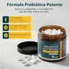 MegaBiotic Probióticos 120 Billones y 17 Cepas|60 cápsulas|536mg p/porción