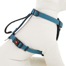 KONG Comfort Padded Harness Blue Small