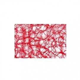 Sizoweb Table Mat Set of 12 Rectangular Wedding Mat Table Decoration Red