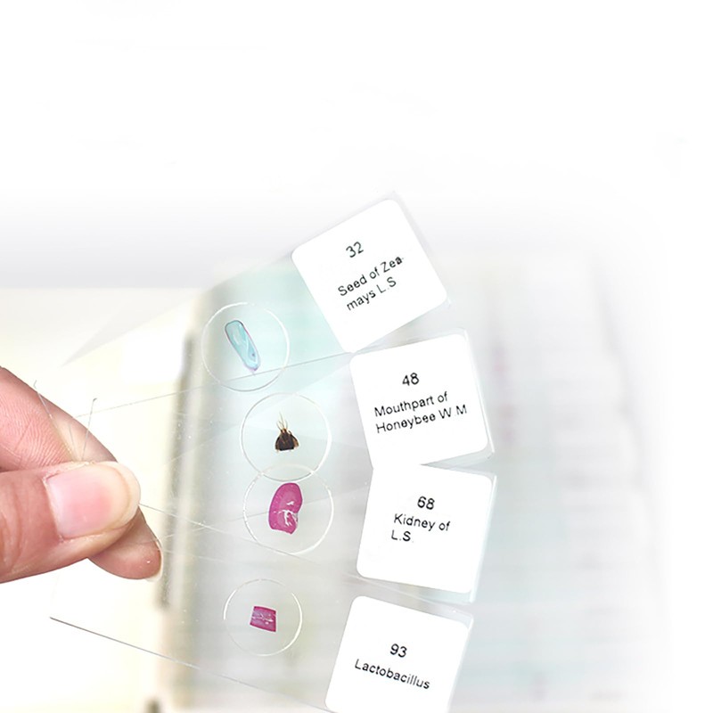 25 Slides with Samples, Prepared Slides, Prepared Microscope Sample Slides,