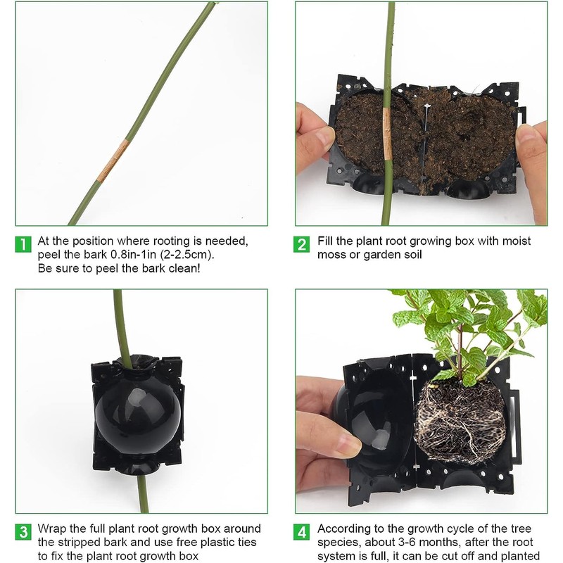 Plant Root Growing Box - 10Pcs Assisted Rooting Device, Reusable