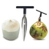 Tianbi Stainless Steel Coconut Opener Tool,Coconut Scraper for Fresh Green