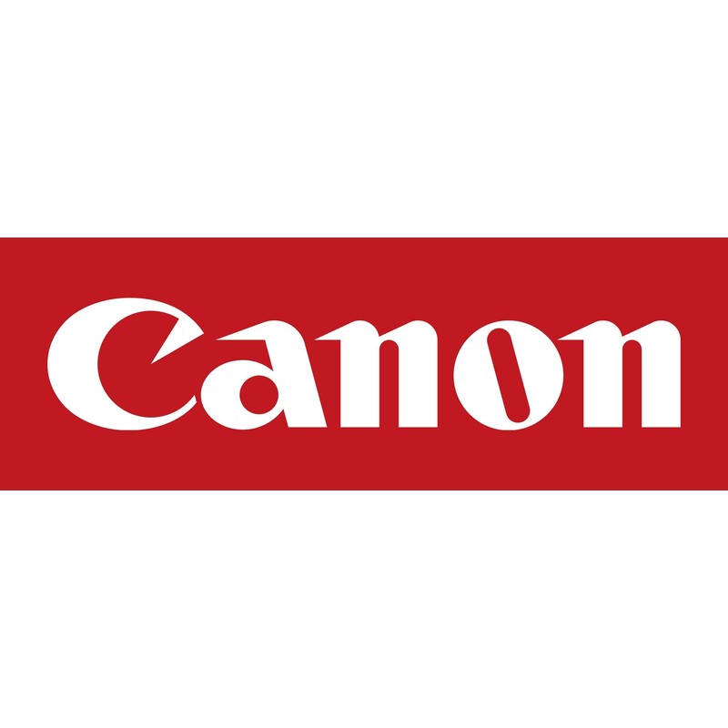 CANON INKCART,CL-246 XL,AST