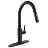 Phoenix PF231765 Premium Slimline Single Handle Pull Down Kitchen Faucet