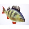 Gaby Fish Cushion of Perch Cuddly Fish Cuddly Toy Pillow