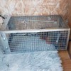 SZHLUX Rat Trap,Mouse Traps Work for Indoor and Outdoor,Small Rodent