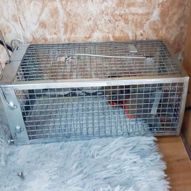 SZHLUX Rat Trap,Mouse Traps Work for Indoor and Outdoor,Small Rodent