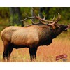 Duramesh Archery Targets Elk #1, DM206 / DM406 (48" x