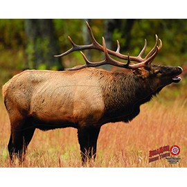 Duramesh Archery Targets Elk #1, DM206 / DM406 (48" x 40")