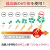 3 x Korean Red Ginseng Concentrate 1.1 oz (30 g)