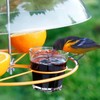 Clear Dome Bird Feeder Cover, Large Diameter Weather Protection for
