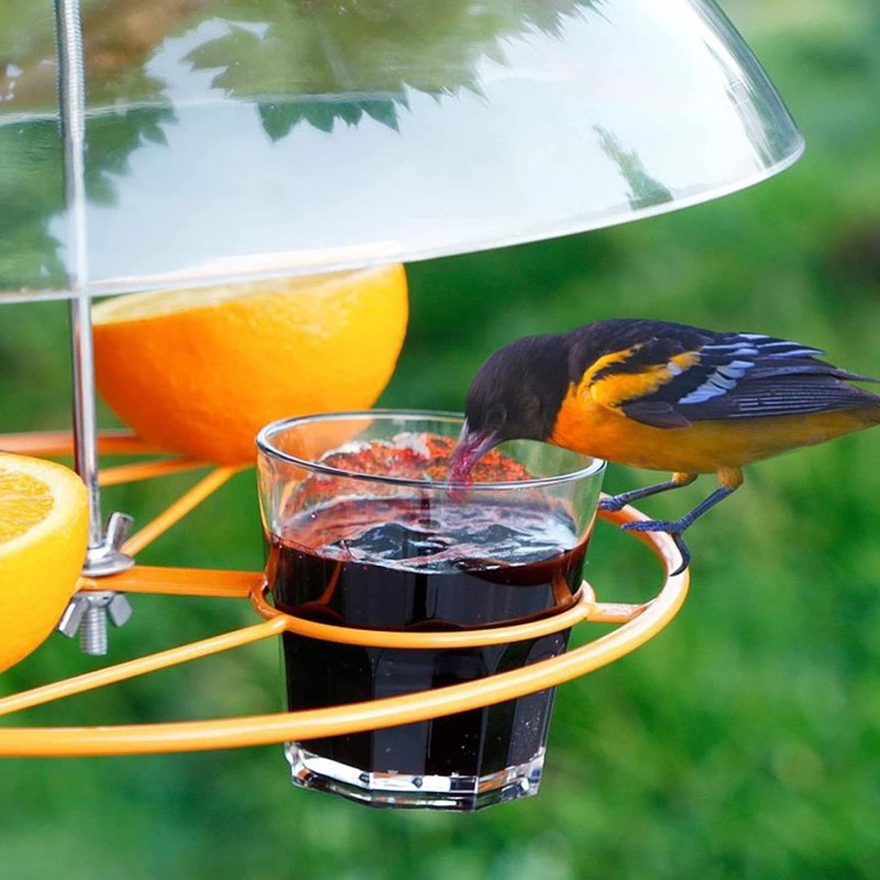 Clear Dome Bird Feeder Cover, Large Diameter Weather Protection for