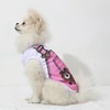 4 Pack Mesh Dog Shirts for Small Dogs: Stretchy Dog