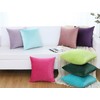 Jeneoo Comfy Soft Thick Velvet Throw Pillow Covers for Sofa