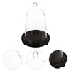 EXCEART Cloche Bell Dome Clear Glass Dome Cloche with Rustic
