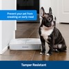PetSafe 2 Meal Automatic Feeder, Built-in Timers, BPA Free Food
