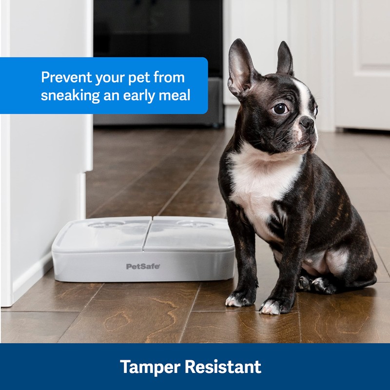 PetSafe 2 Meal Automatic Feeder, Built-in Timers, BPA Free Food