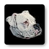 Fractal Artworks Boxer Coaster with Fractal Art Design. Perfect Dog
